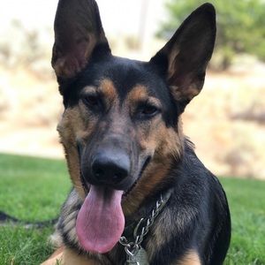 Meet your Posher, Marguerite